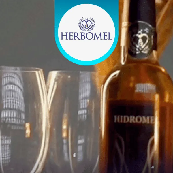 Herbomel no 11º São Lourenço Jazz & Blues